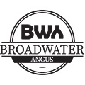 Broadwater Angus